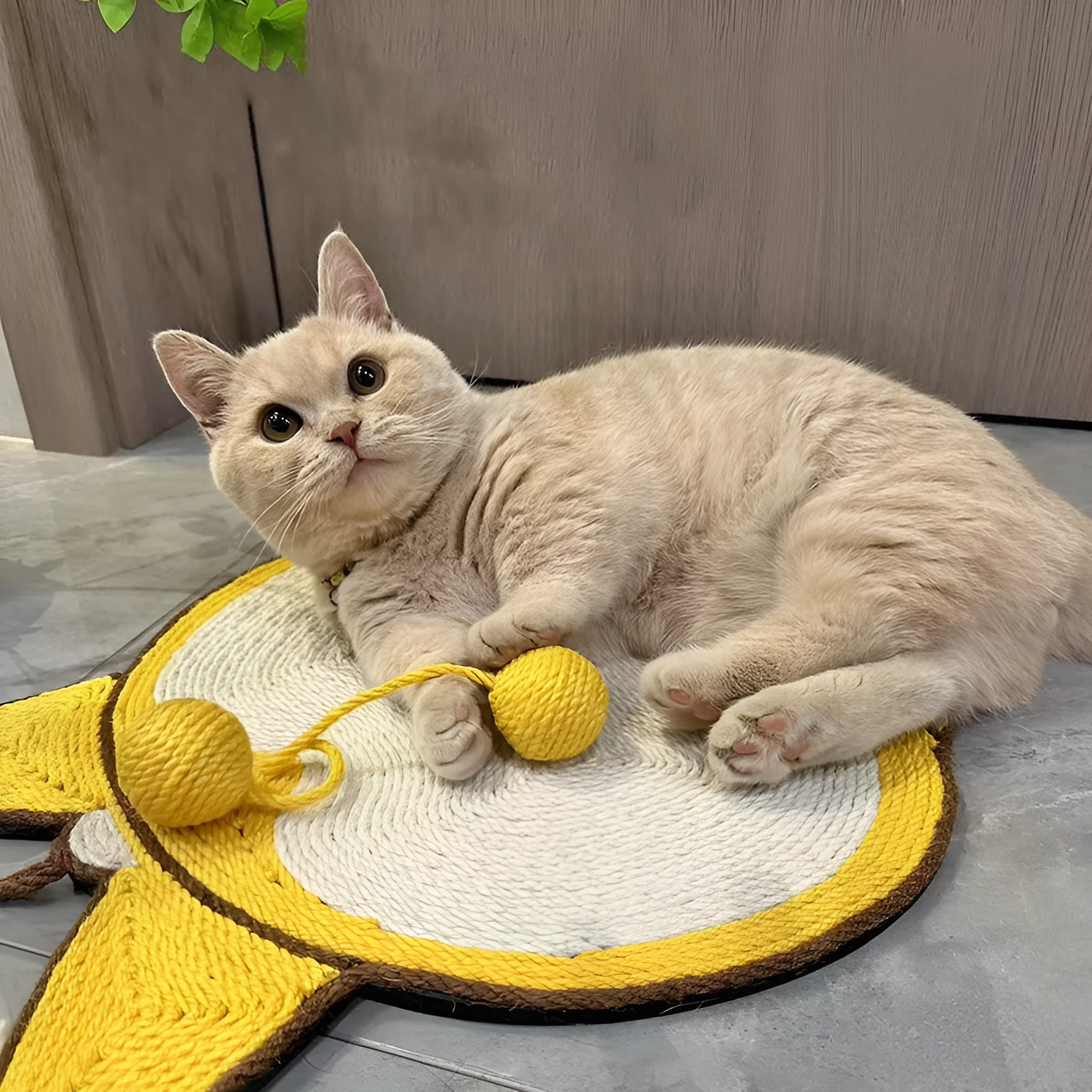 Yellow Corgi design cat scratching board with natural sisal surface on anti-slip base