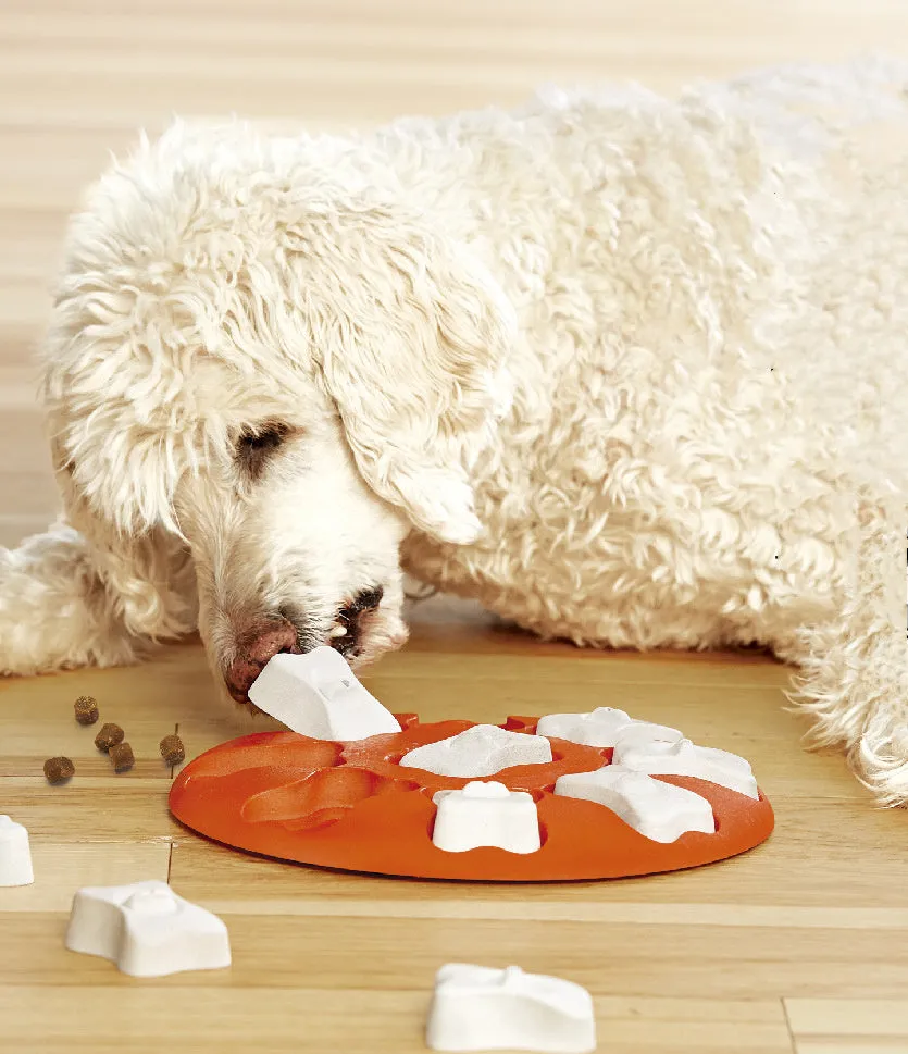 Orange and white plastic leak food toy for dogs and cats, puzzle feeder on surface