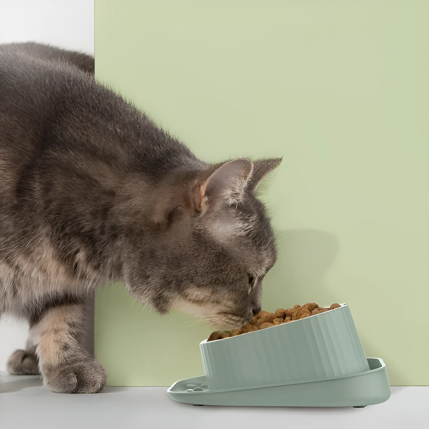 Green ceramic cat bowl with wide mouth design on PP base for neck protection
