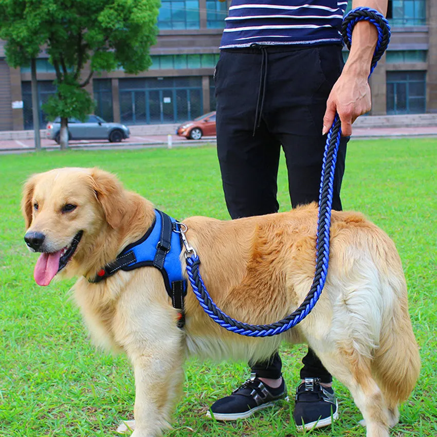 Dog leash chest strap saddle design in black with strong nylon and breathable mesh