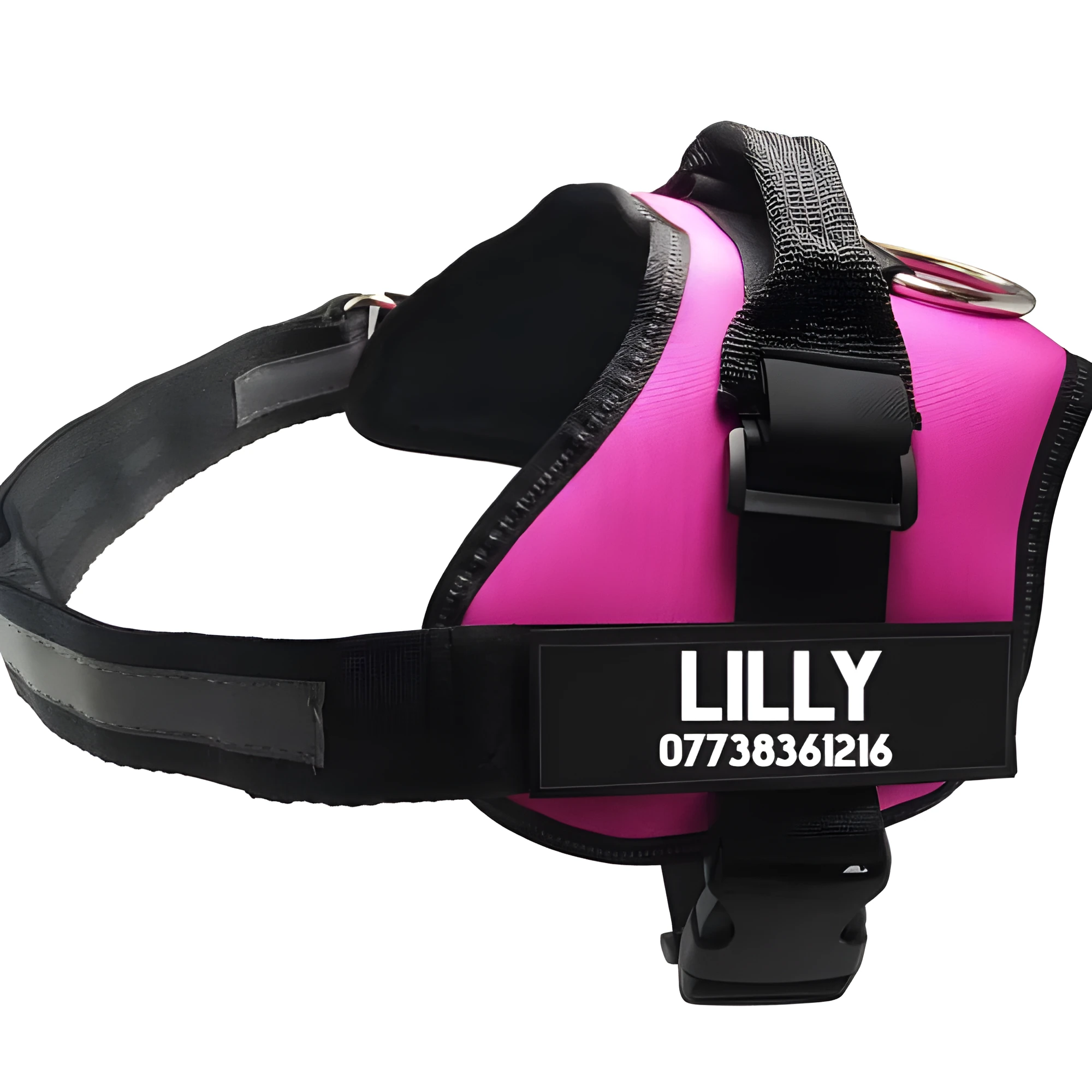 Purple adjustable nylon dog chest harness with leash on a white background