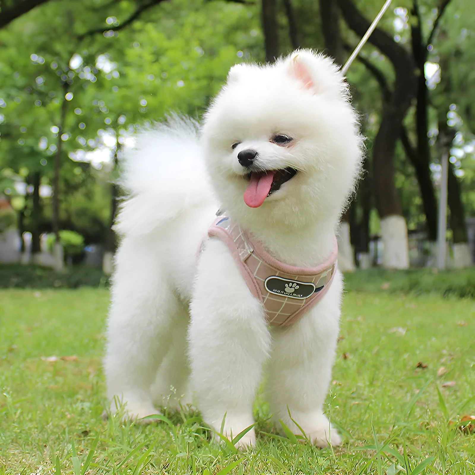 Reflective dog leash traction belt with strips made of polyester in grey colour