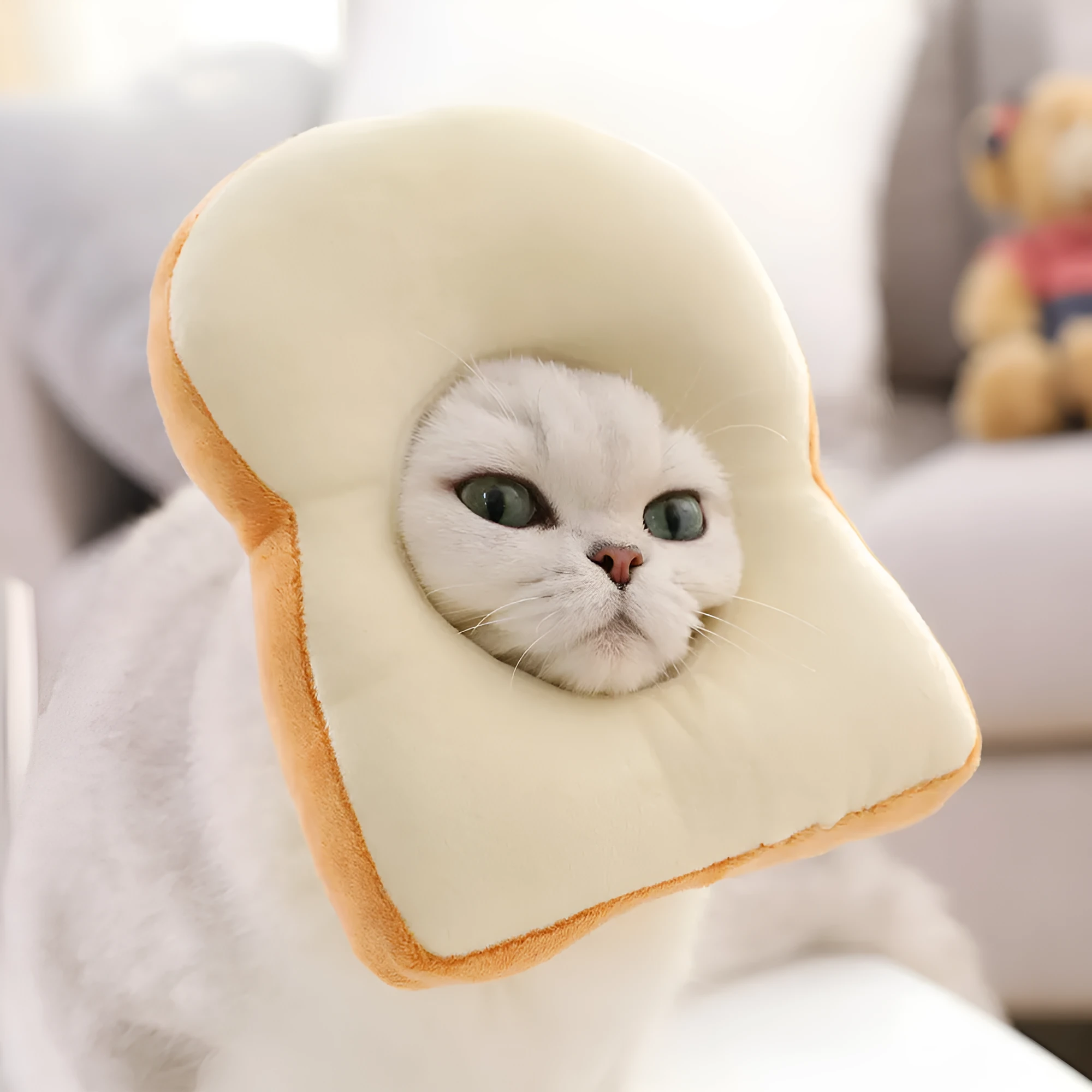 Cat wearing plush toast headdress collar with soft fabric, chain strap, side view on white background