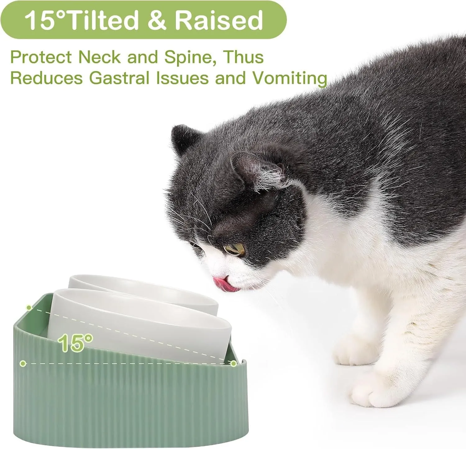 Green ceramic elevated cat bowl set with 15 degree tilt on a white base