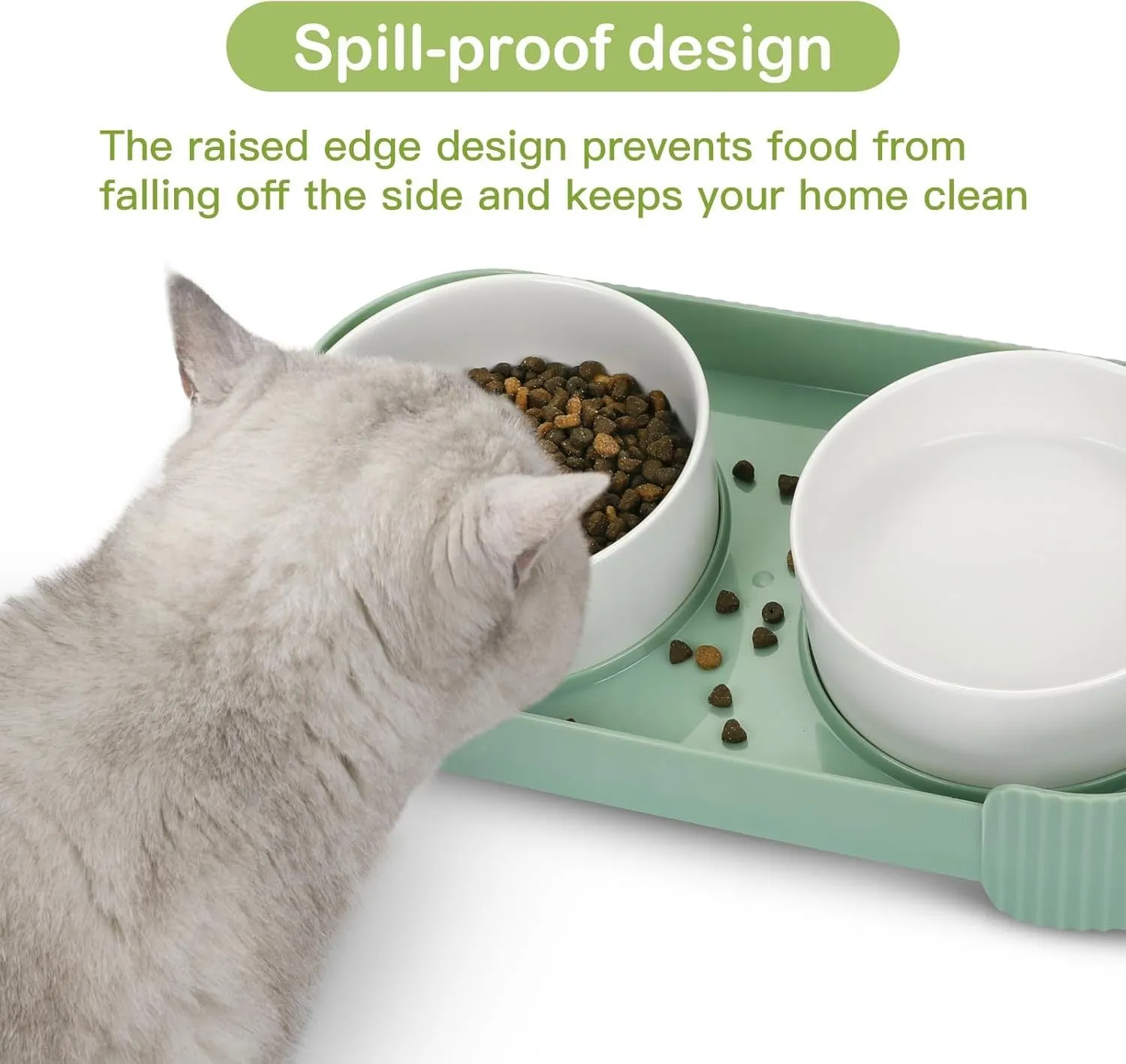 Green ceramic elevated cat bowl set with 15 degree tilt on a white base
