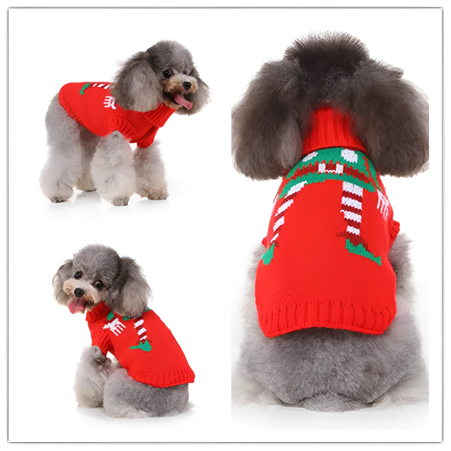 Polyester casual dog sweater in MYD94 red colour on a white background