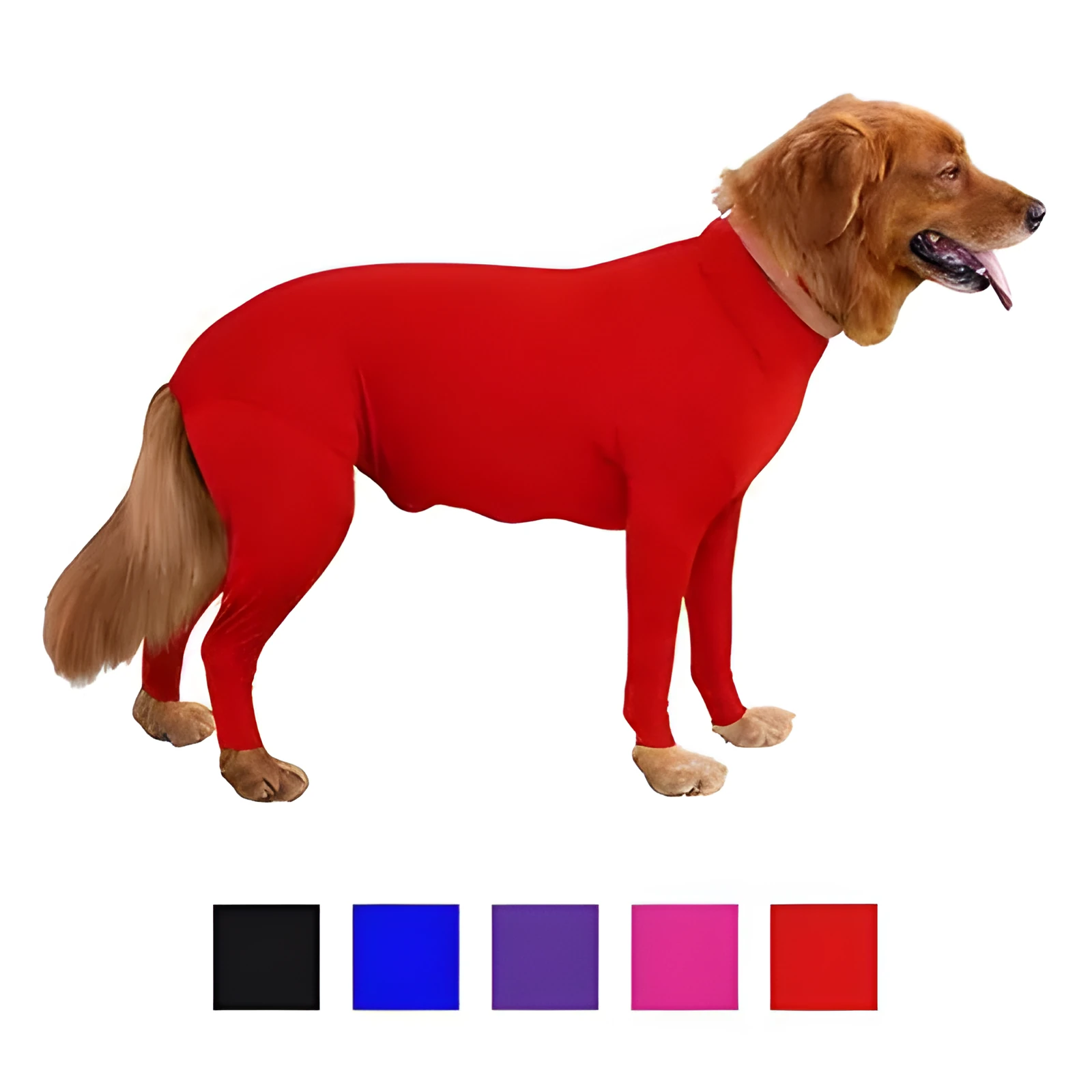 Zhongda four-legged elastic dog clothing in blue on a small dog, showing full body coverage and leg openings.