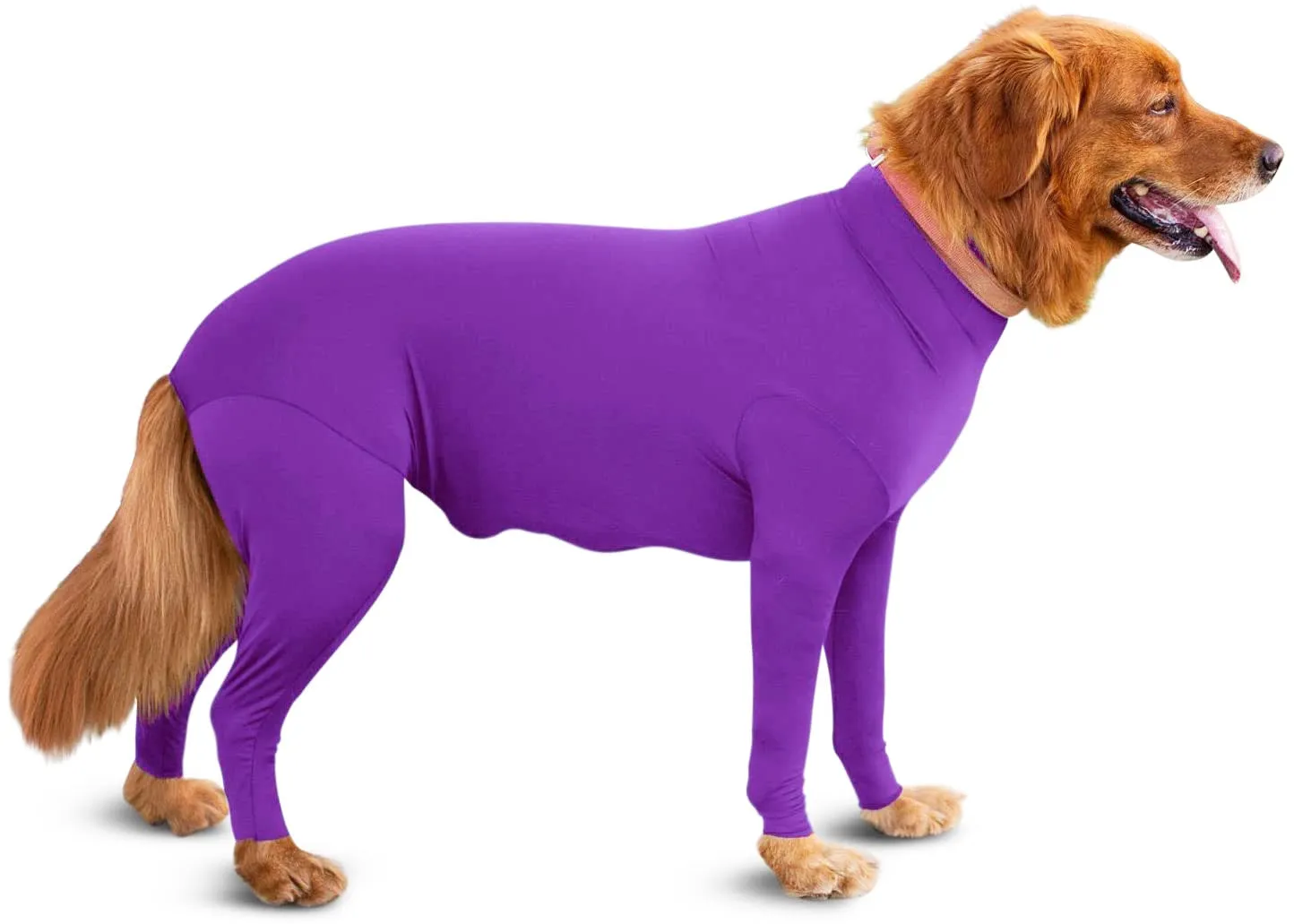 Zhongda four-legged elastic dog clothing in blue on a small dog, showing full body coverage and leg openings.