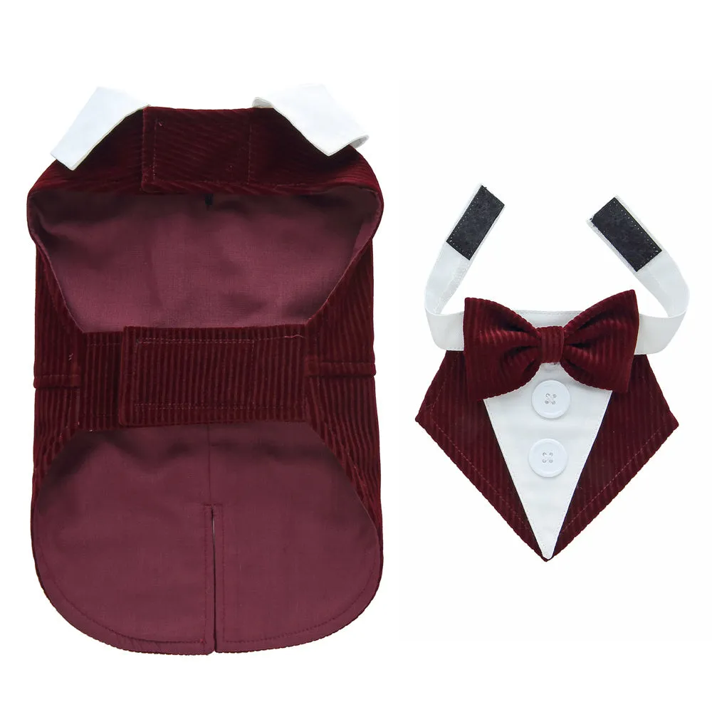 Dog wearing polyester tuxedo dress shirt in plain pattern, available in multiple sizes and colours
