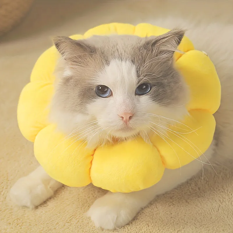 Cute sunflower shaped pet recovery collar for cats and small dogs, soft cotton, adjustable size