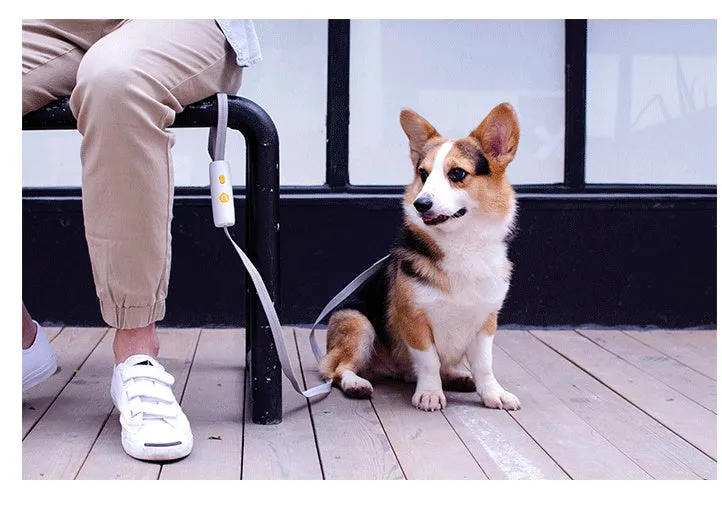 LIUTA adjustable elastic dog leash with reflective strip, ABS handle, and lock button for small medium dogs