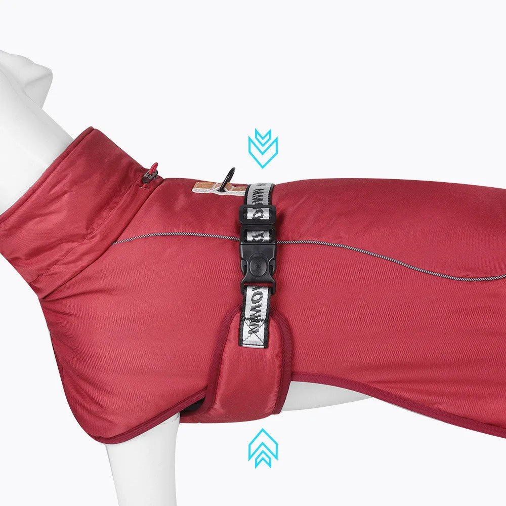 Dog wearing thickened warm reflective cloak-style vest in polyester, available in multiple sizes