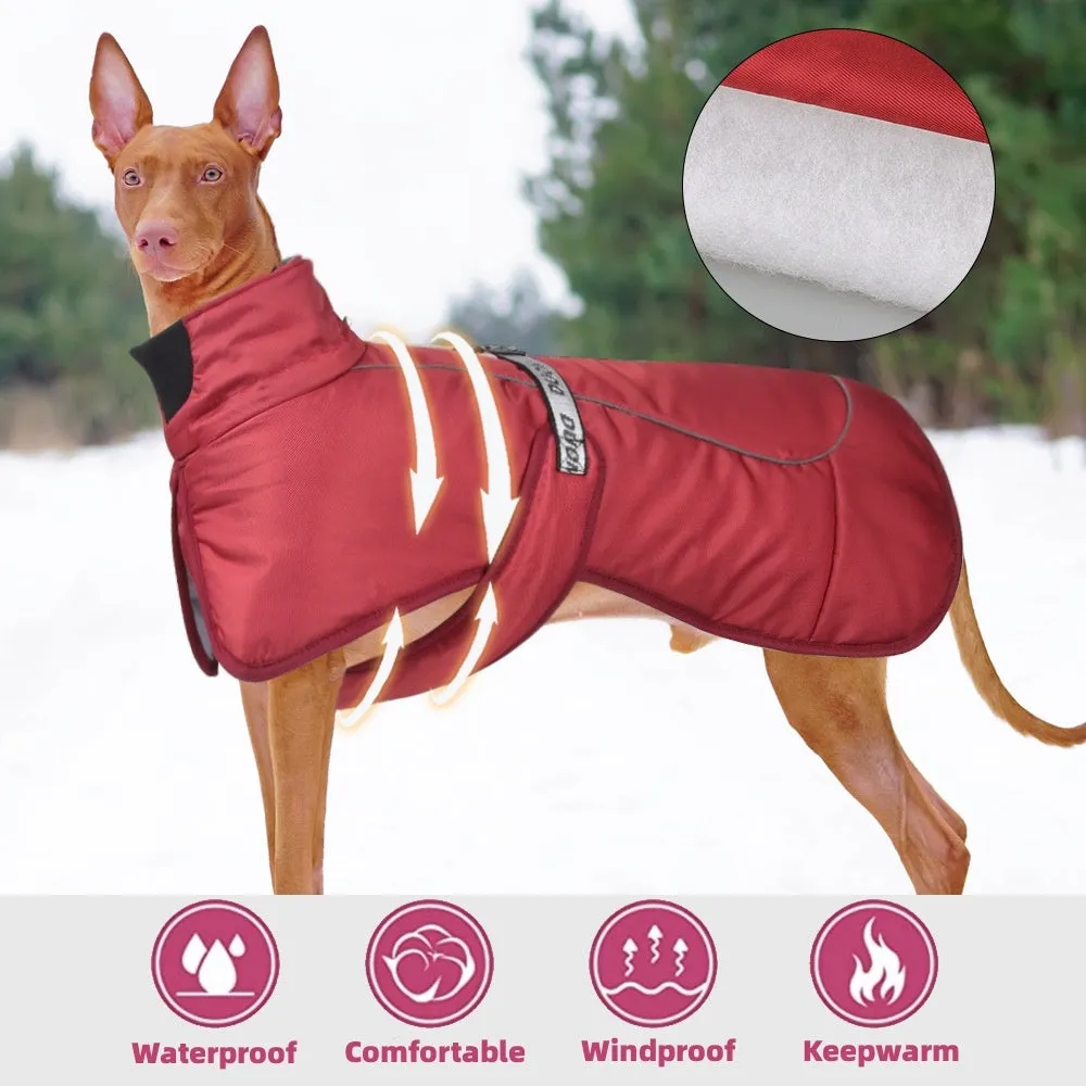 Dog wearing thickened warm reflective cloak-style vest in polyester, available in multiple sizes