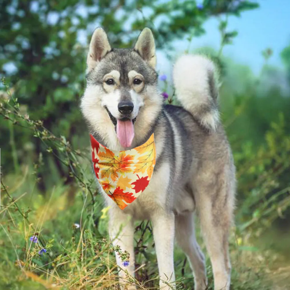 Turkey Thanksgiving pet saliva cloth bandana neck scarf for dogs and cats 48x48x70cm