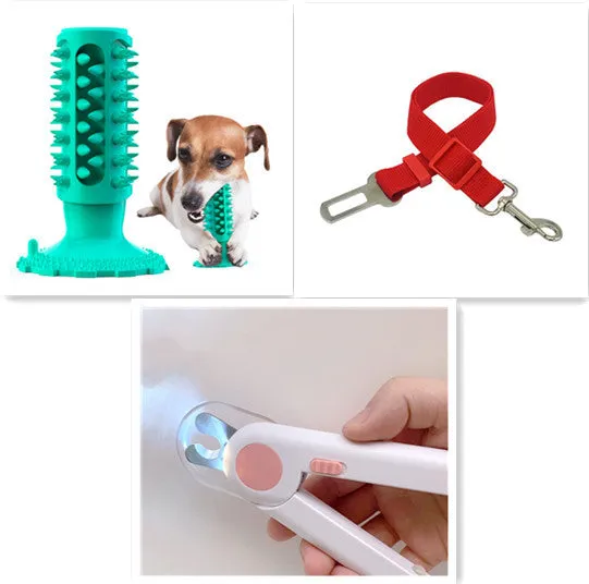 TPR dog toothbrush molar stick in lake blue with serrated edge for teeth cleaning