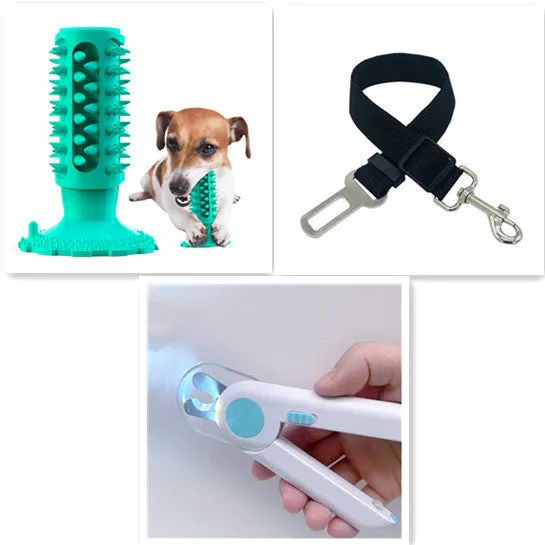 TPR dog toothbrush molar stick in lake blue with serrated edge for teeth cleaning