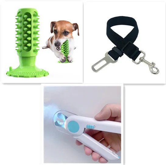 TPR dog toothbrush molar stick in lake blue with serrated edge for teeth cleaning