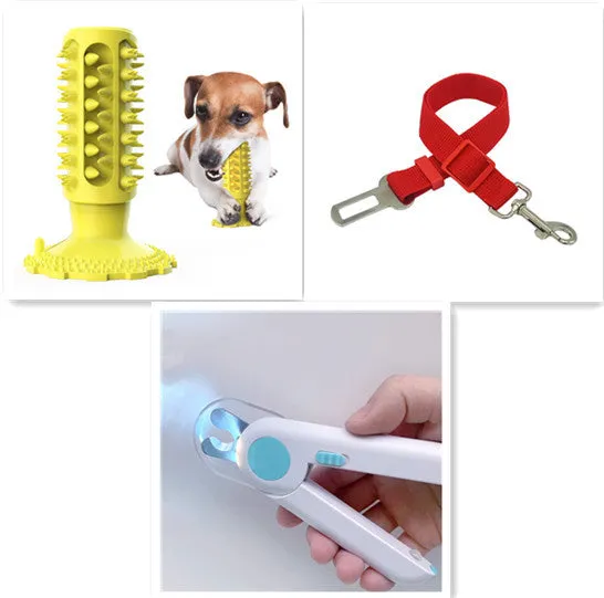 TPR dog toothbrush molar stick in lake blue with serrated edge for teeth cleaning