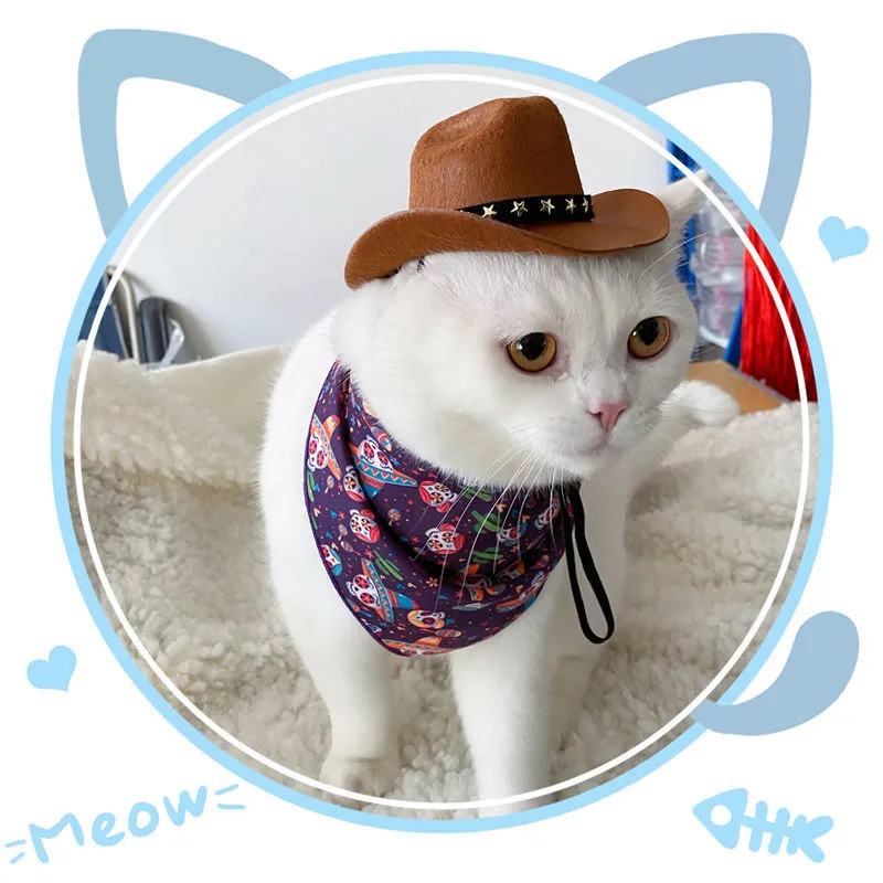 British-style brown cat cowboy hat with decorative trim on a feline model
