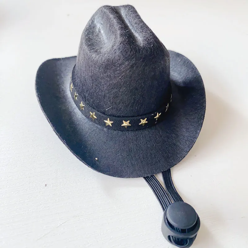 British-style brown cat cowboy hat with decorative trim on a feline model