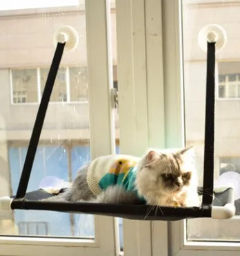 Cat hammock on window sill with suction cups, double layer coral velvet design