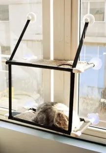Cat hammock on window sill with suction cups, double layer coral velvet design
