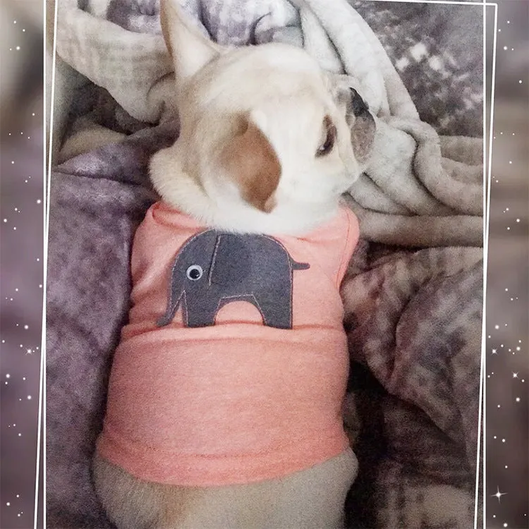 Cotton dog vest in dark blue on a small dog, showing back length and chest fit