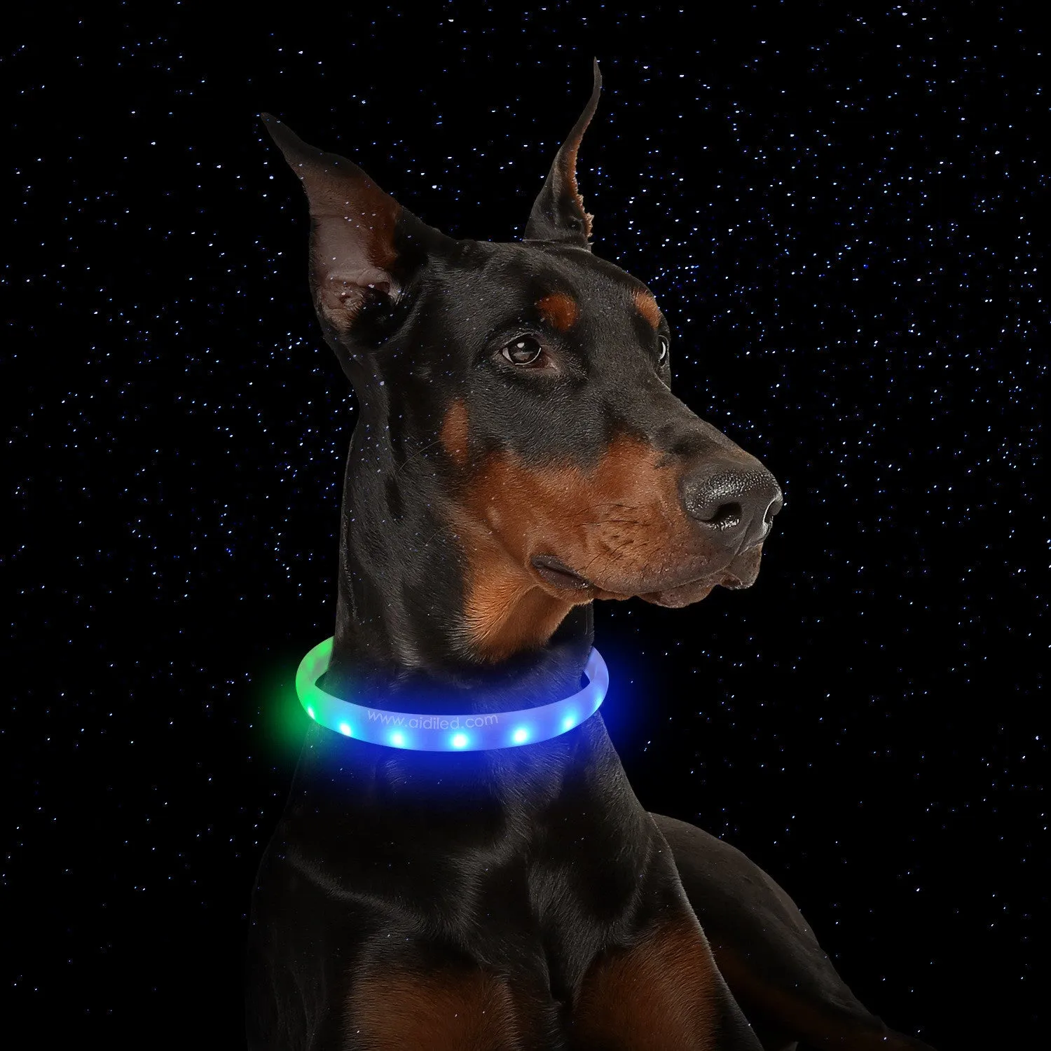 White USB rechargeable flash dog collar with RGB light, silicone construction, size L 2.5x65cm