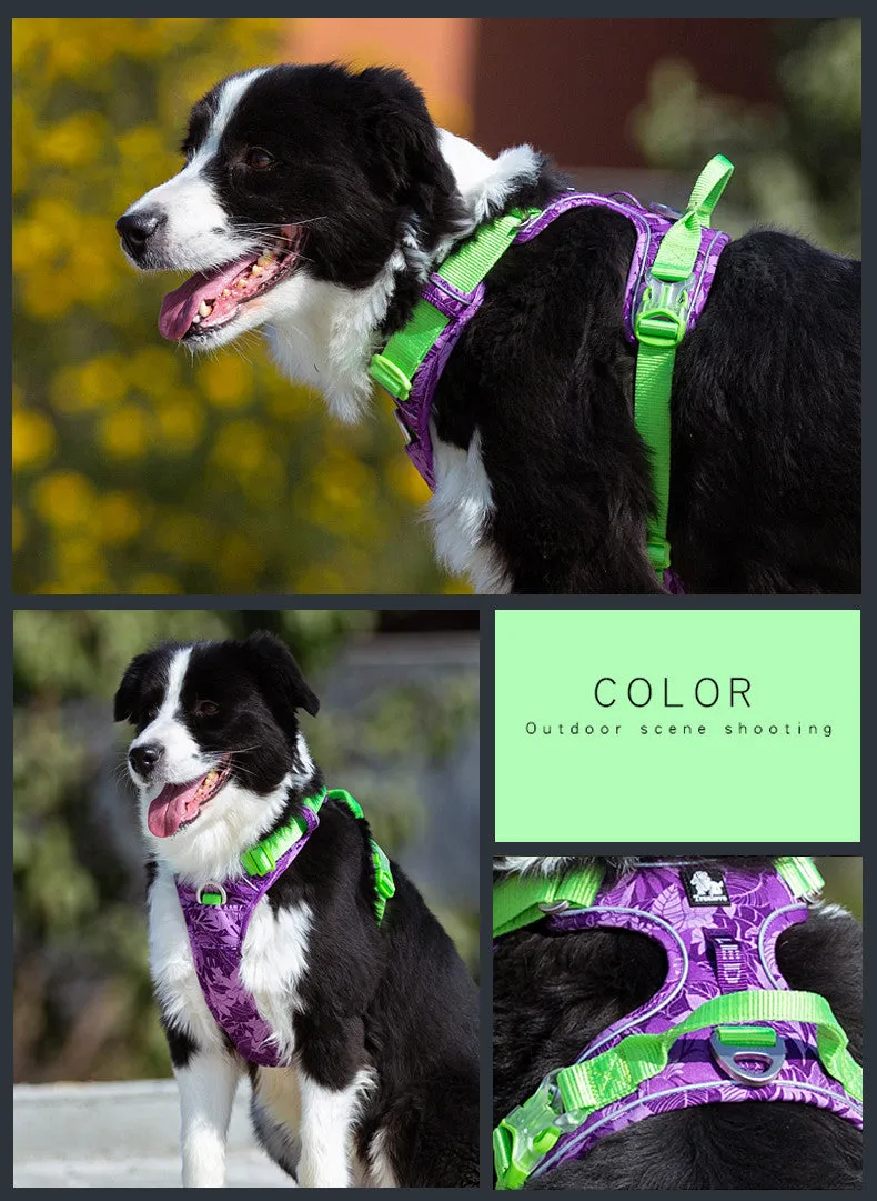 Adjustable dog walking harness set in blue nylon with aluminium alloy clips, suitable for small to large breeds