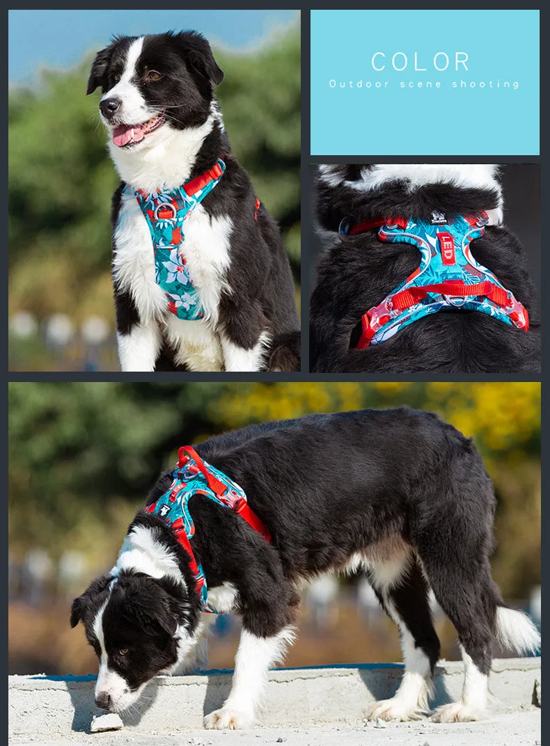 Adjustable dog walking harness set in blue nylon with aluminium alloy clips, suitable for small to large breeds
