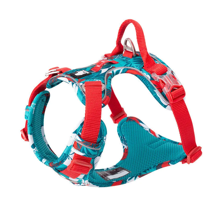 Adjustable dog walking harness set in blue nylon with aluminium alloy clips, suitable for small to large breeds