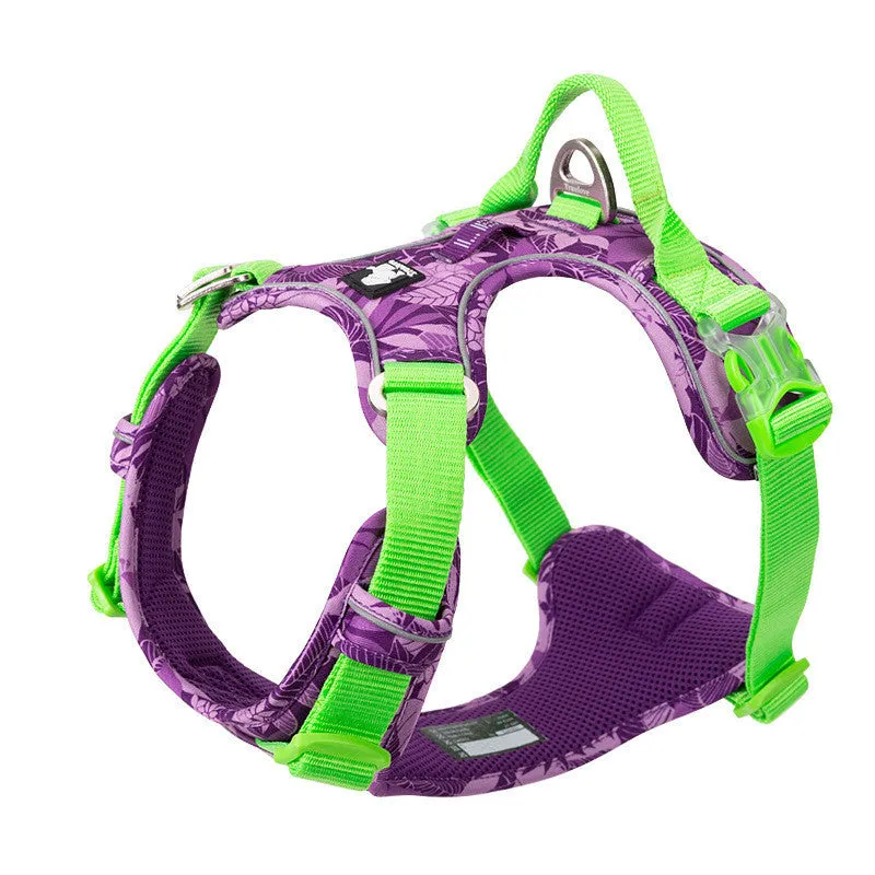 Adjustable dog walking harness set in blue nylon with aluminium alloy clips, suitable for small to large breeds