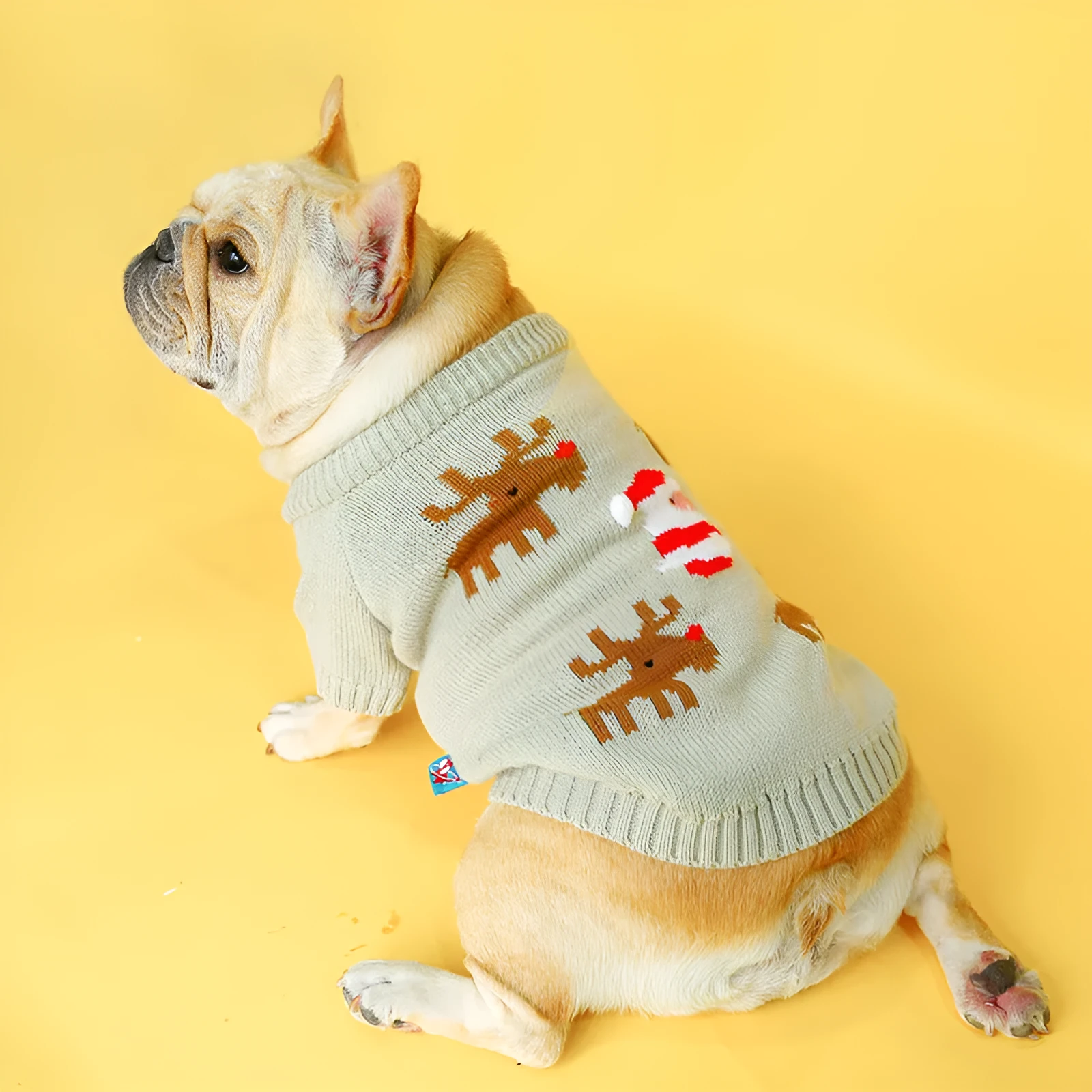 Grey acrylic pet Christmas sweater with elk pattern French style on a dog