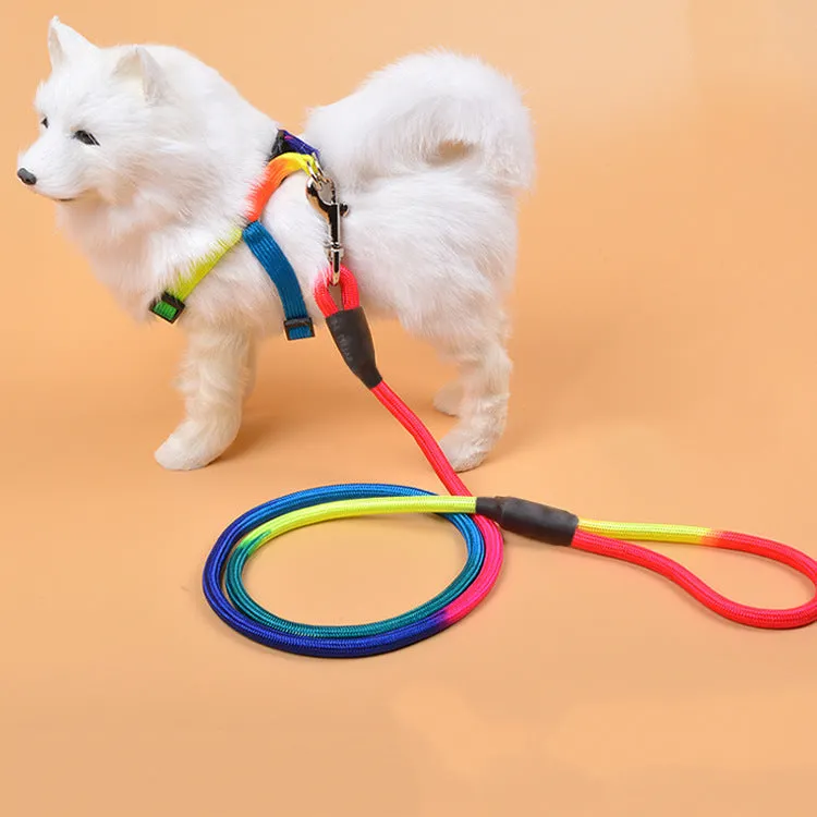 Colourful nylon round hand holding dog rope leash for walking and training, with three size options