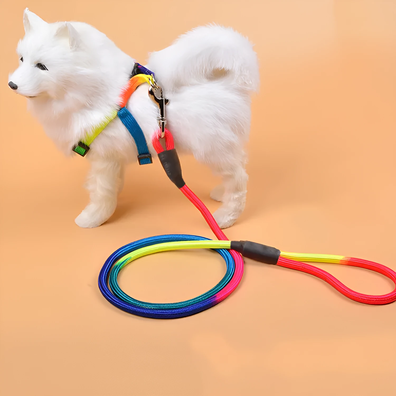 Colourful nylon round hand holding dog rope leash for walking and training, with three size options