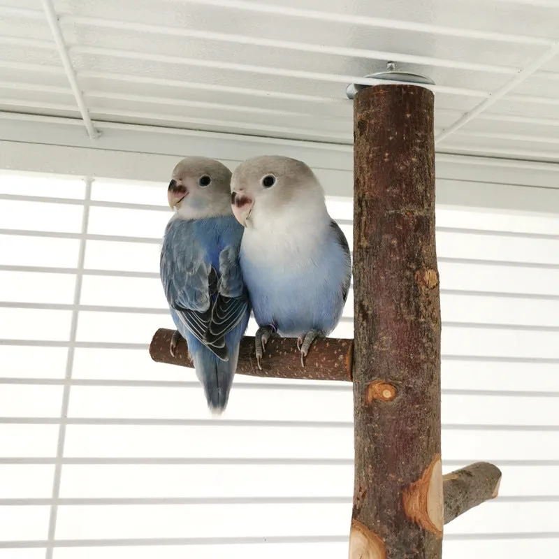 Apple wood parrot stand toy with bite string and natural colour perches