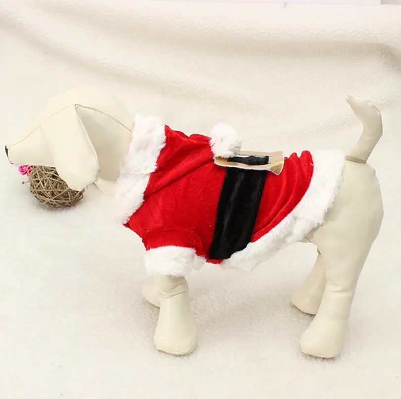 Red acrylic knit dog Christmas clothing in Red Clothes style, lying on a white background