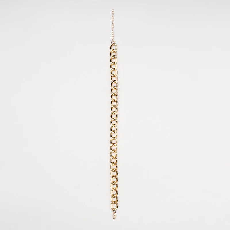 Gold metal pet necklace with extension chain on a cat or dog
