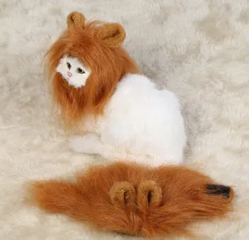 Small dog wearing a funny lion mane pet hat in brown colour, showing ears and head cap