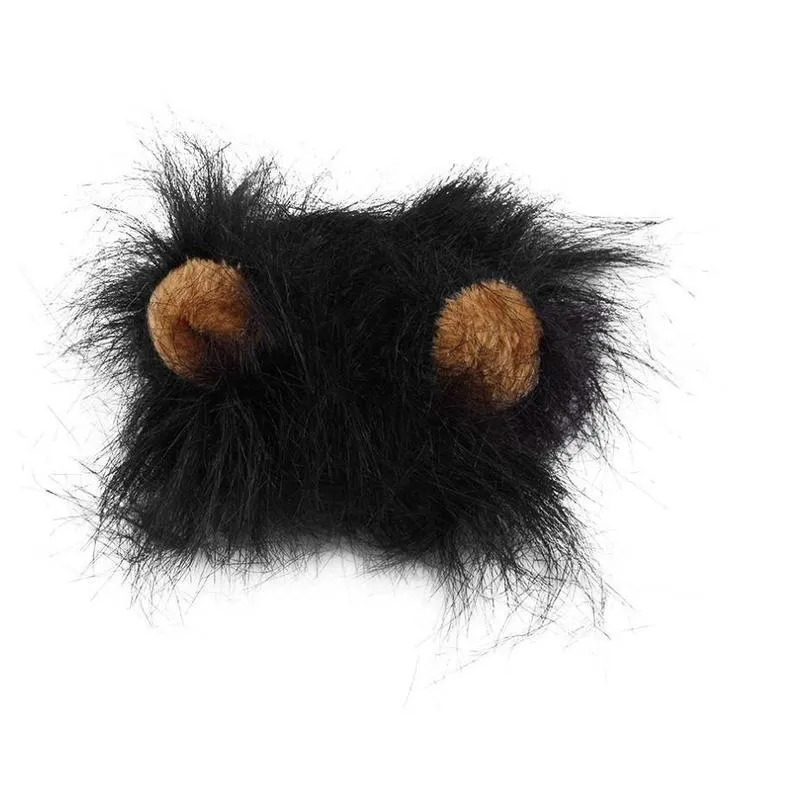 Small dog wearing a funny lion mane pet hat in brown colour, showing ears and head cap