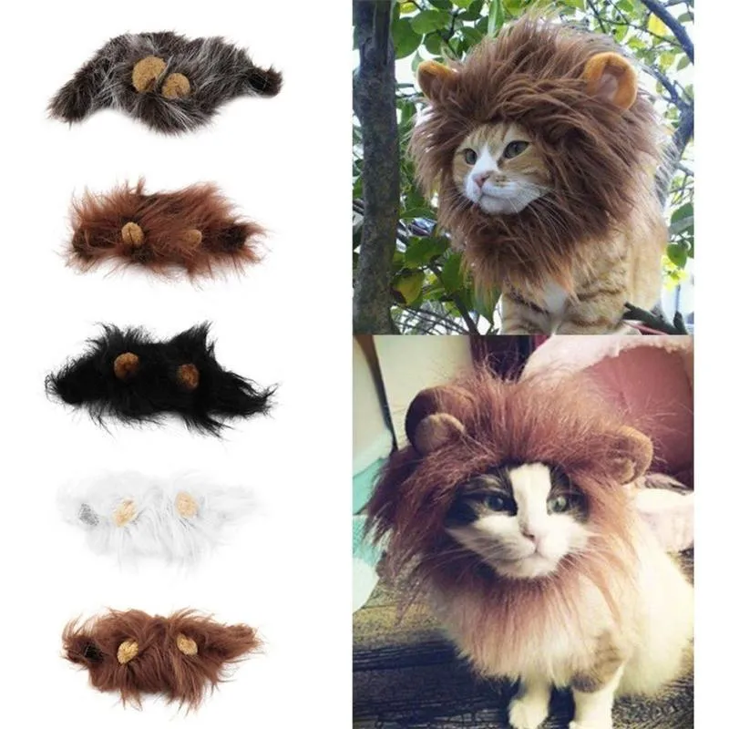 Small dog wearing a funny lion mane pet hat in brown colour, showing ears and head cap