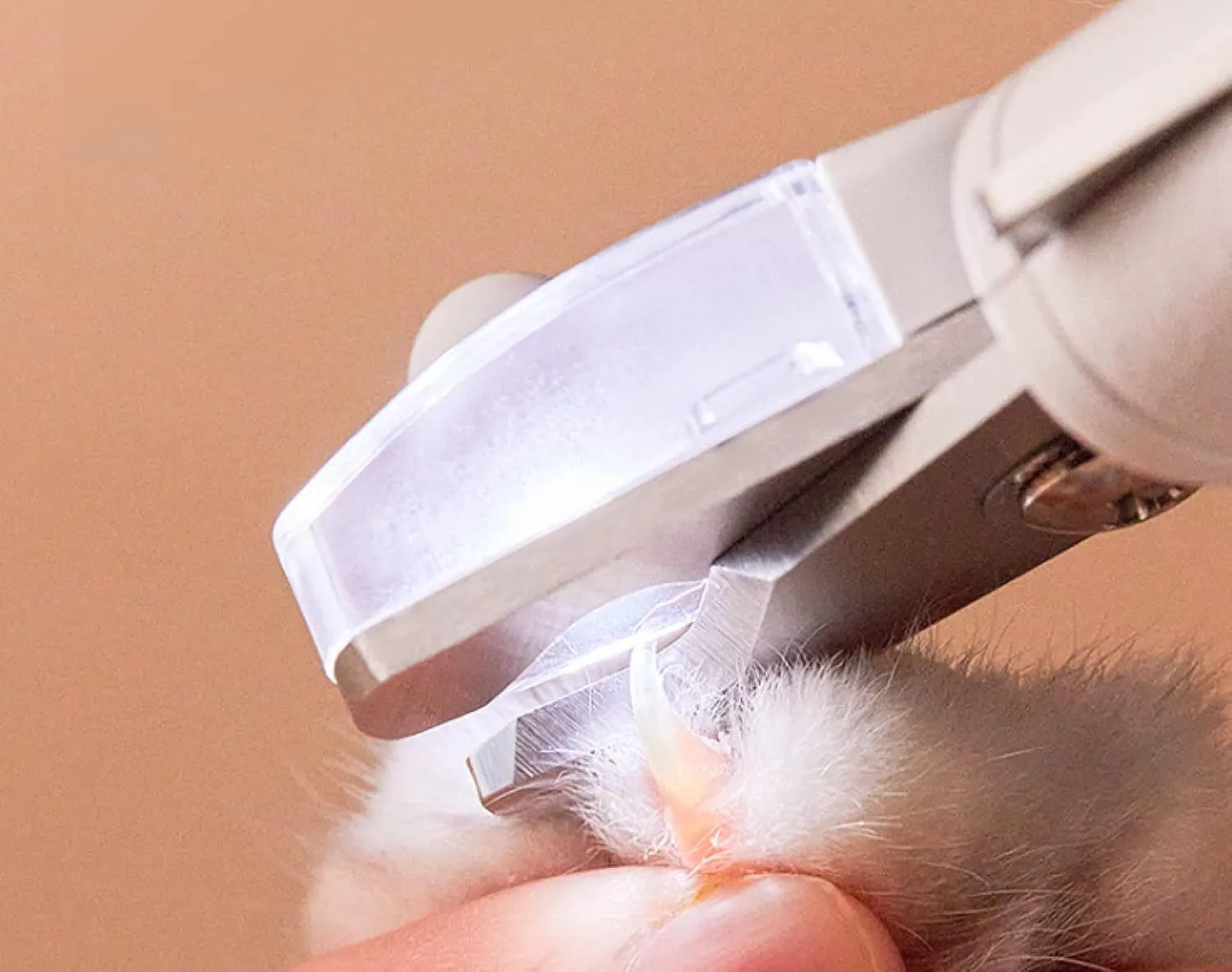 White pet nail clippers with LED light and transparent anti-splash guard next to a nail file on a table