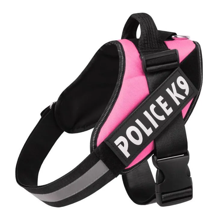 Scalable polyester dog leash for walking and training in multiple colours and sizes