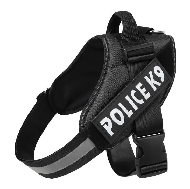 Scalable polyester dog leash for walking and training in multiple colours and sizes