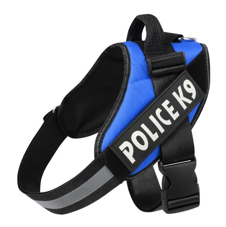 Scalable polyester dog leash for walking and training in multiple colours and sizes