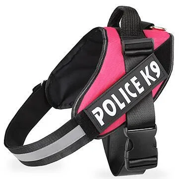 Scalable polyester dog leash for walking and training in multiple colours and sizes