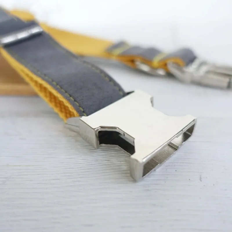 Retractable dog collar in bubble colour made from polyester, available in sizes XS to XL