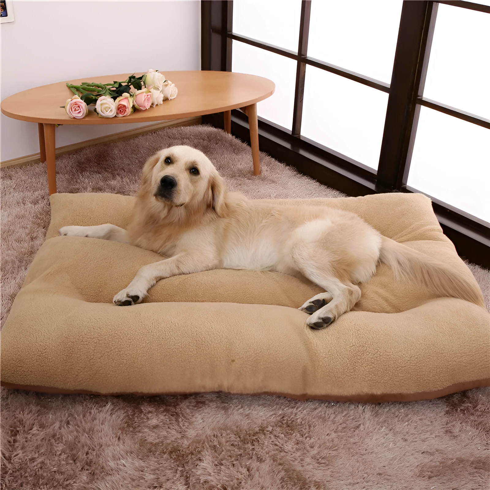Large warm pet bed for golden retrievers with removable washable cotton pad in beige colour