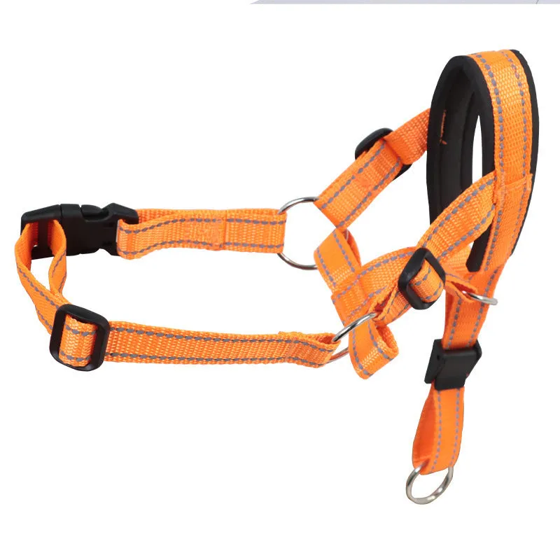 Nylon dog muzzle in blue on white background for bite and bark control