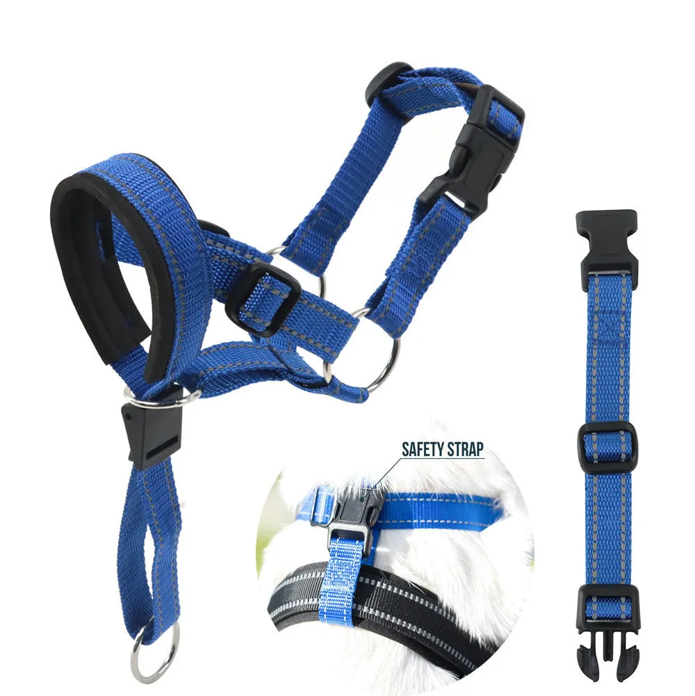 Nylon dog muzzle in blue on white background for bite and bark control